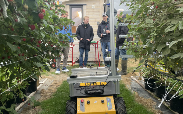 robot njøs